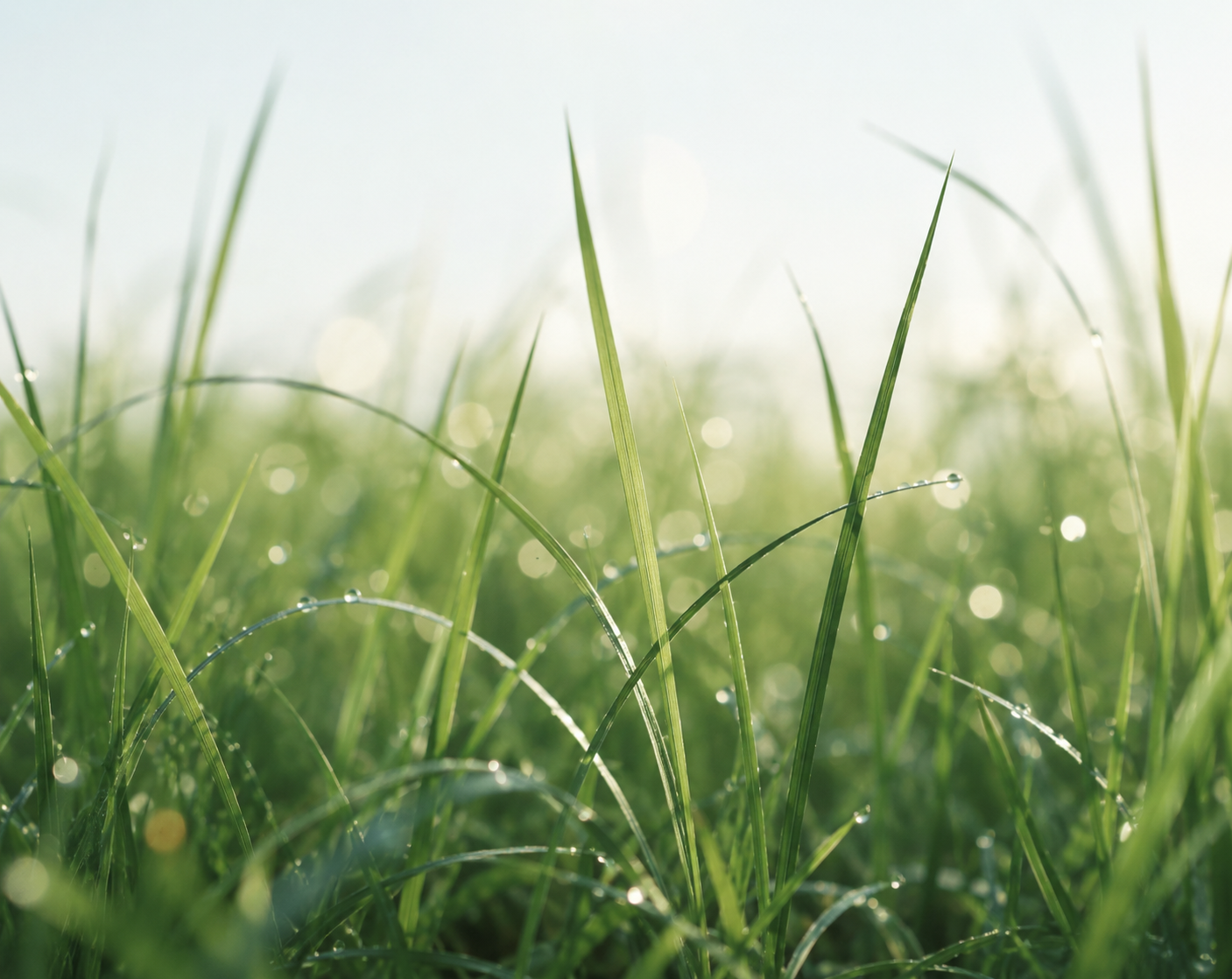 G-Green Fleuressence